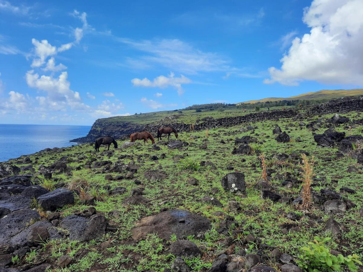 Moehiva Camping Rapa Nui Hanga Roa Exterior photo