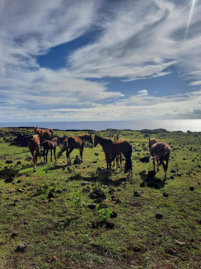 Moehiva Camping Rapa Nui Hanga Roa Exterior photo