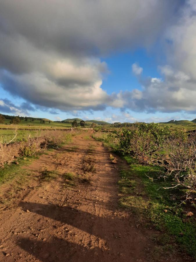 Moehiva Camping Rapa Nui Hanga Roa Exterior photo
