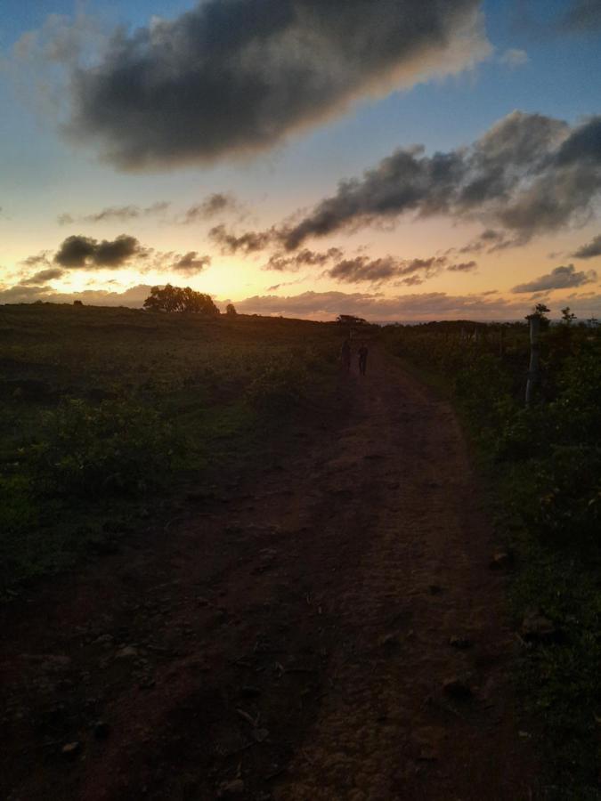 Moehiva Camping Rapa Nui Hanga Roa Exterior photo